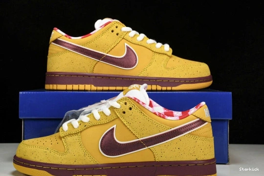  SB Dunk Yellow Lobster 313170-137566 Nike Low 0331